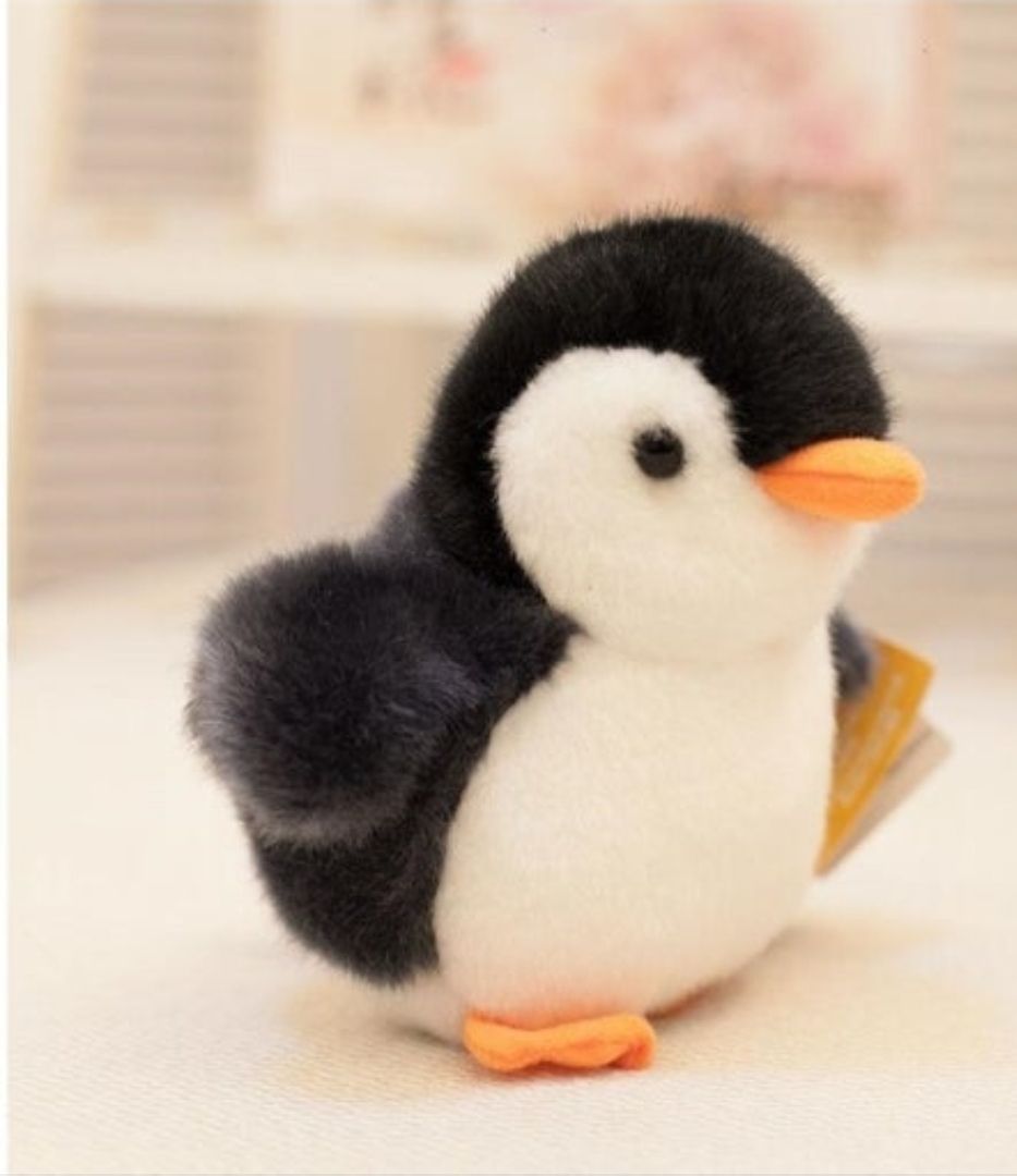 내가 좋아하는애착인형은?